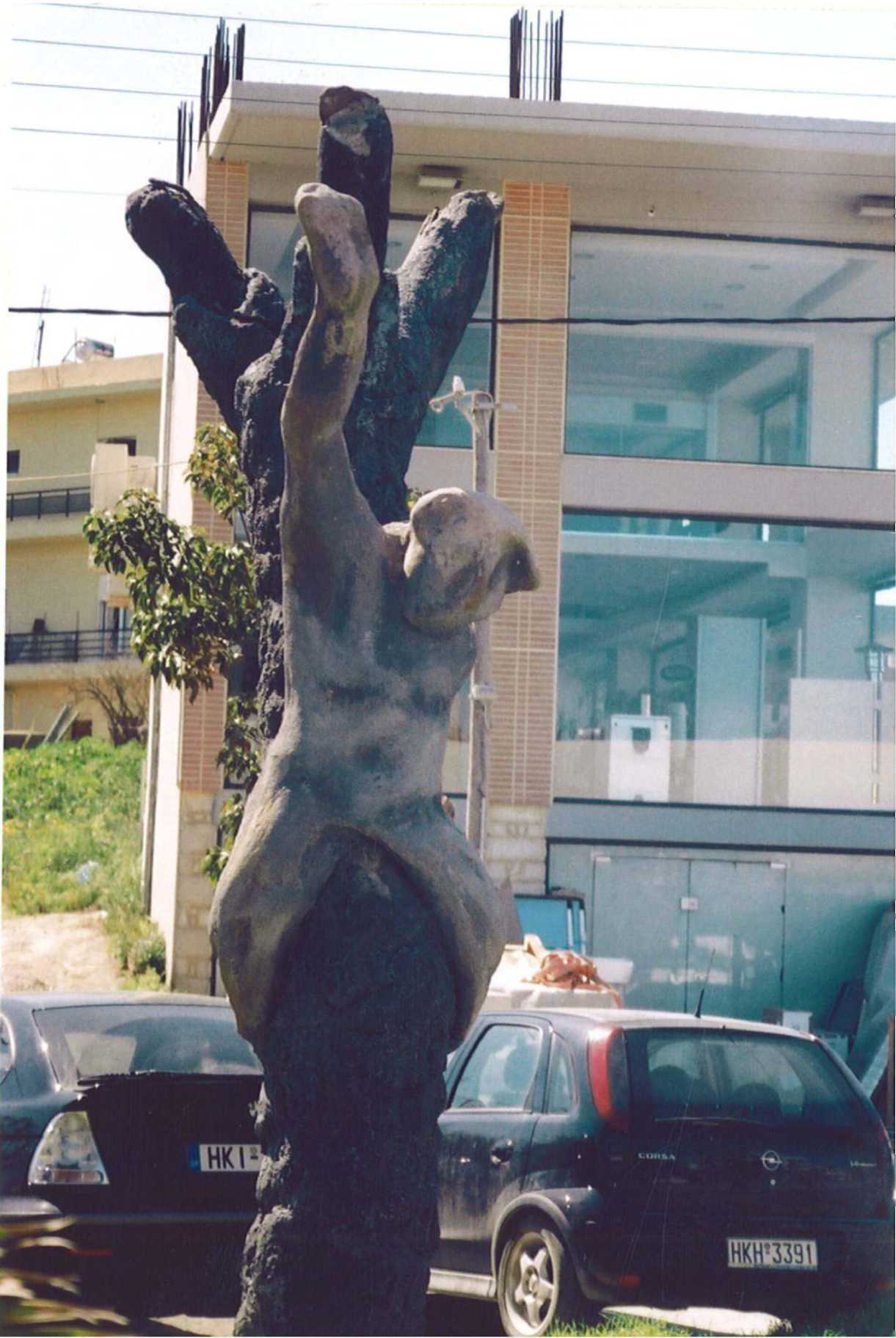 Κραυγή απ’το καµένο δάσος