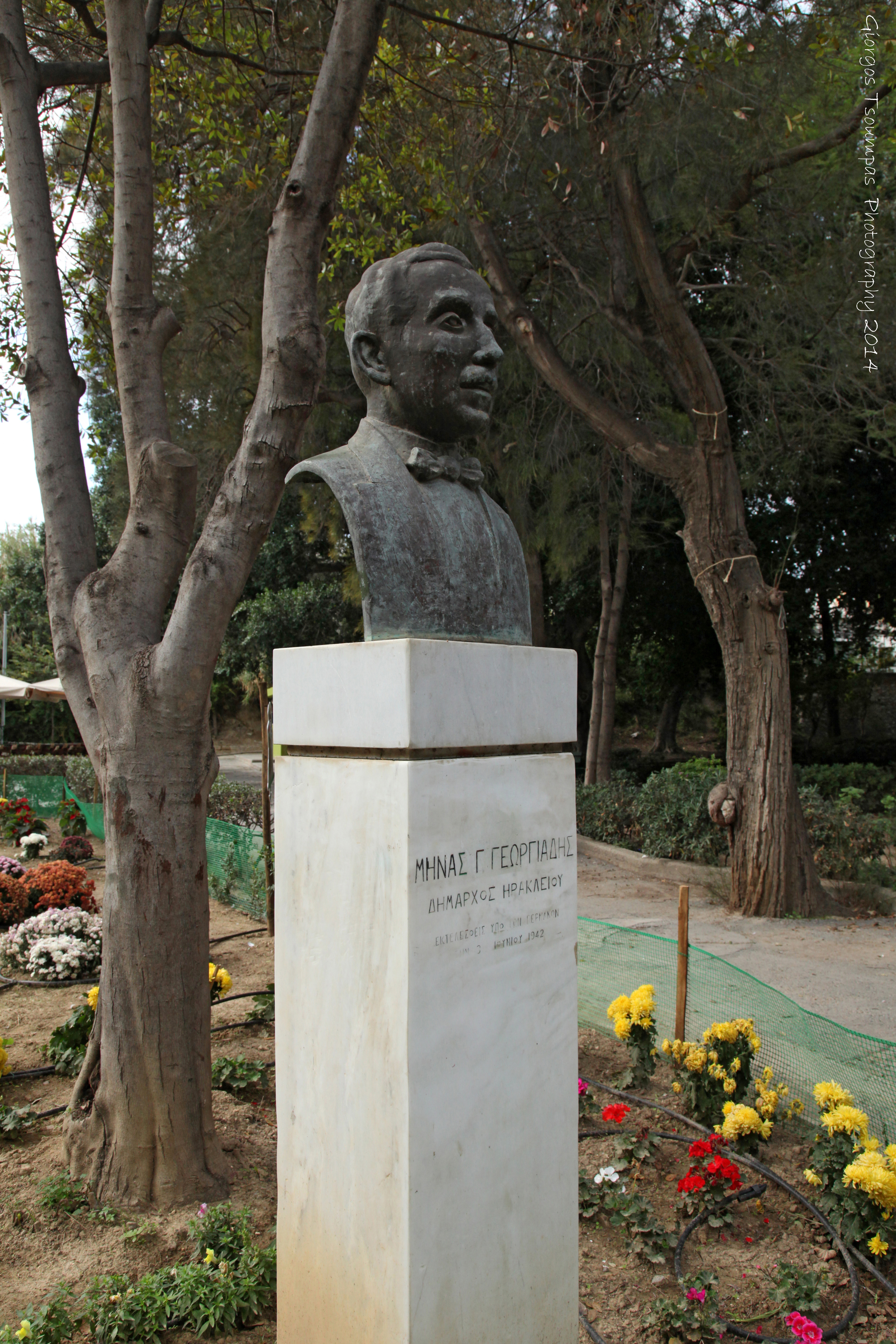 Μηνάς Γεωργιάδης